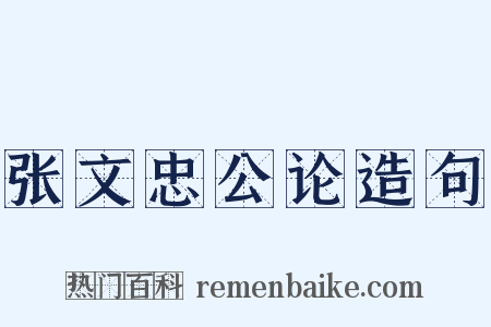 张文忠公论造句是什么意思的图片
